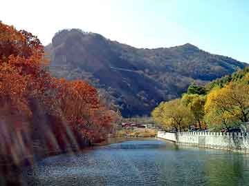 管家婆黑白马报图库，乡土小说